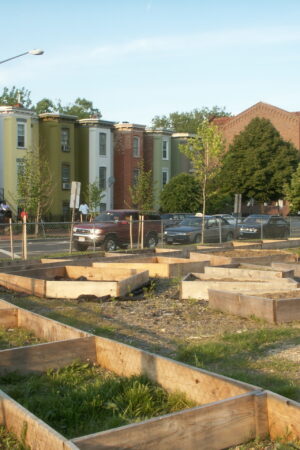 starting a community garden