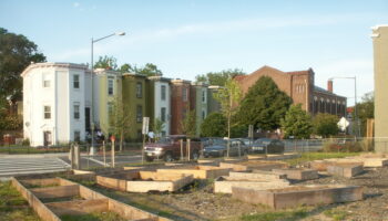 starting a community garden