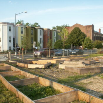 starting a community garden