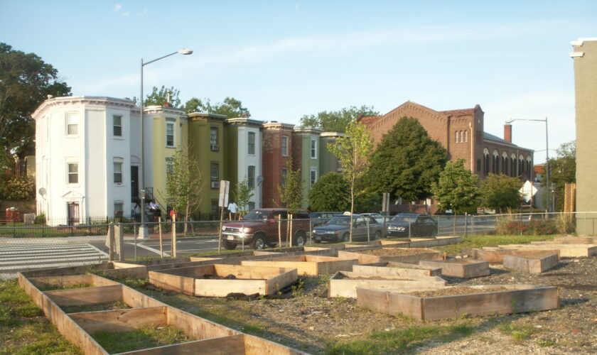 starting a community garden